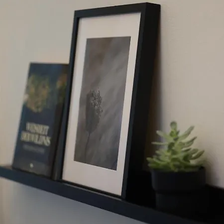 Apartmán Numbersixteen Trevír