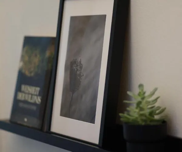 شقة Numbersixteen ترير