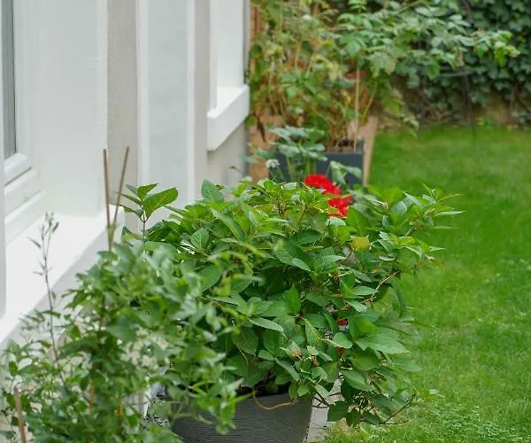 Numbersixteen アパート